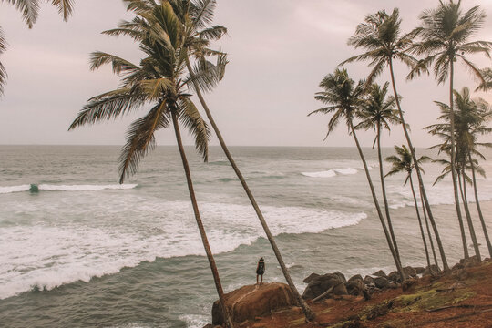 Mirissa Coconut Tree Hill, Sri Lanka