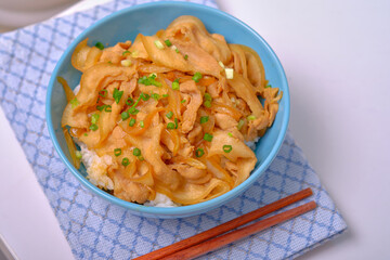 rice topped with pork or pork stew, Japanese food