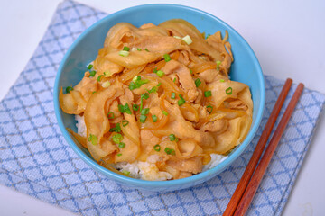 rice topped with pork or pork stew, Japanese food