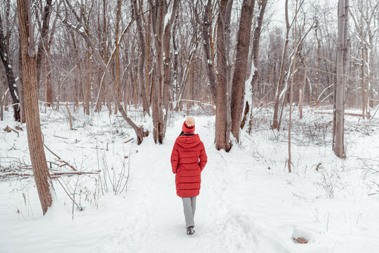 Winter Nature Walk Woman Walking In Snowy Forest Trail Outdoors. View From Behind Of Woman In Long Red Coat.