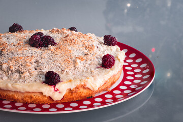blueberry pie with berries