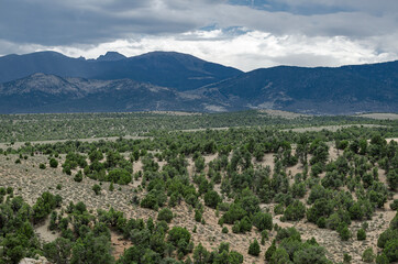 Wheeler Peak towers over an expansive nextwork of single track trails through the Pinyon-juniper...