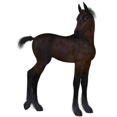 Naklejka na ściany i meble 3d render of a young foal