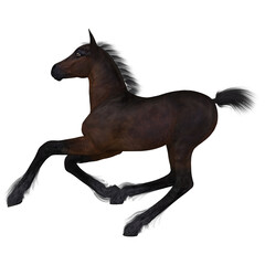 3d render of a young foal