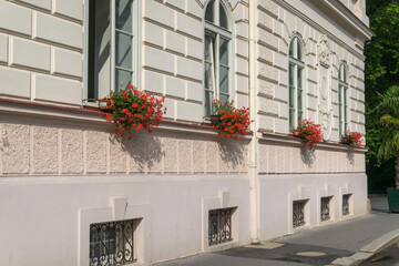 flowers in the city streets. many bright flowers in flowerbeds and flowerpots were planted in...