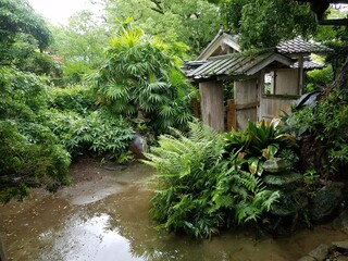 Naklejka premium Japanese garden