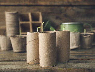 Plants seedlings in peat pots on wooden table