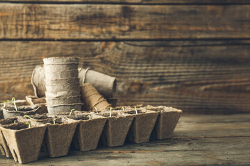 Plants seedlings in peat pots kit on wooden table