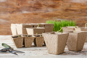 Fototapeta na wymiar Plants seedlings in peat pots on wooden table