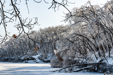 Winter snow scene in Jingyuetan National Forest Park, Changchun, China