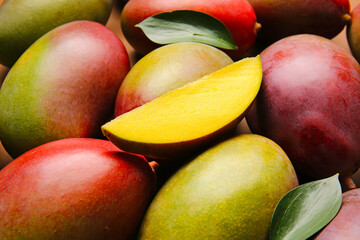 Many ripe mangoes as background