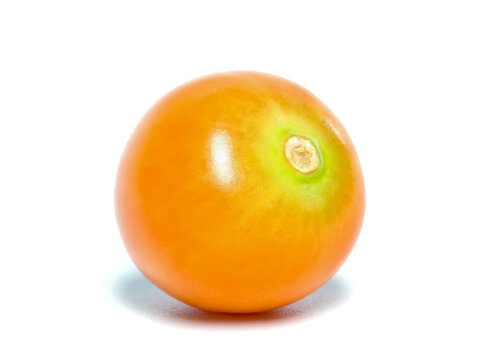 Close up of a physalis berry isolated on white ground.