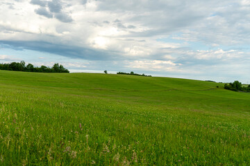 Grüne Felder auf hügeligem Land