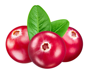 Cranberry isolated on white background