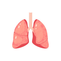Human lungs. Internal organ, anatomy. Vector cartoon flat icon illustration isolated on white background.