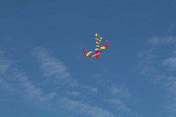kite in the sky