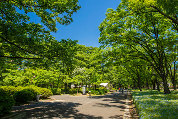 日比谷公園