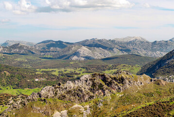 Naklejka premium Mountains on a sunny day in the Sierra de Grazalema In Spain