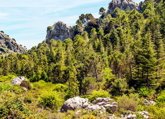 Mountains on a sunny day in the Sierra de Grazalema In Spain