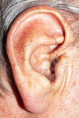 Retired ears up close