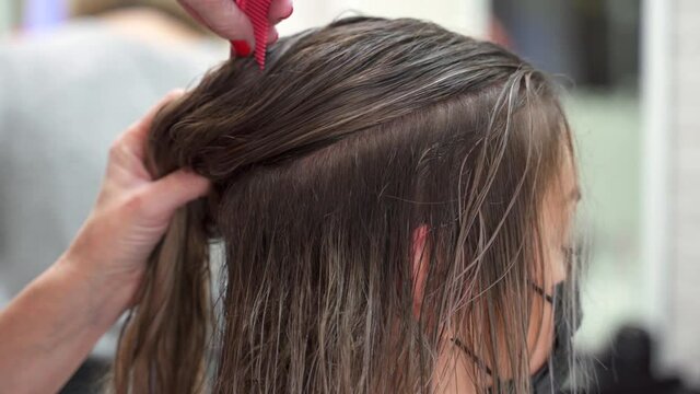 the hairdresser's hands separate part of the wet long hair on the head with a fine comb