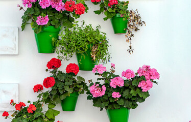 Fototapeta na wymiar White wall decorated with flower pots