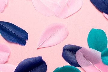 Beautiful abstract pink green and blue feathers on pastel background and soft white pink feather texture on colorful pattern, colorful background, colorful feather