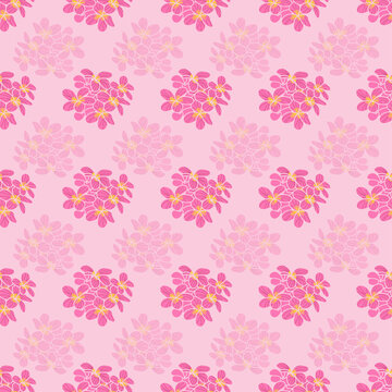 Seamless pattern design with pink plumera