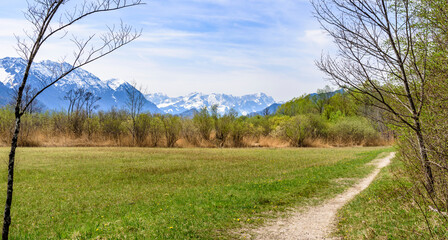 Sonniger Frühlingsnachmittag im Murnauer Moos