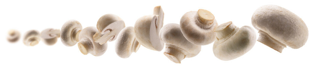 White mushrooms levitate on a white background