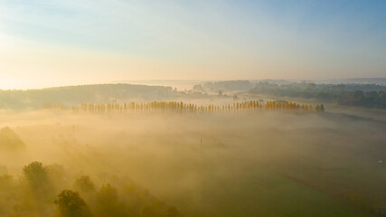 Shot above landscape, several cultivated plots and part of forest