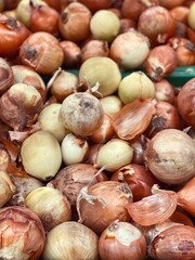 onions harvest in plastic boxes close up