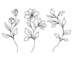 Flowers and Leaves Vector One Line Drawing Set. Botanical Modern Single Line Art, Aesthetic Contour. Perfect for Home Decor, Wall Art Posters, T-shirt Print, Mobile Case. Continuous Line Drawing