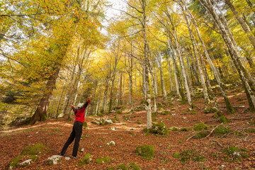 A trekker walking solo  among the forest in a sunny atumnal  day