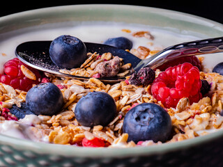 Delicious yogurt breakfast bowl with muesli and fresh berries
