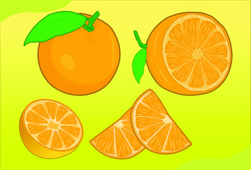 Sweet orange fruit vector