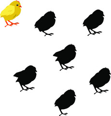 game for kids find the right shade for the chicken. Vector illustration isolated on a white background