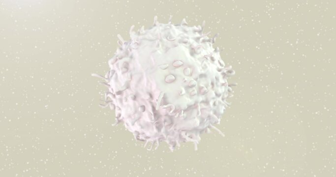 Lymphocyte flow animation. T-Cell under microscope.