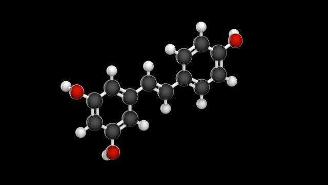 Molecular structure of resveratrol - antioxidant and potential chemopreventive activities. C14H12O3. 3D render.Seamless loop.Isolated and rotating on black background. Structure model: Ball and Stick