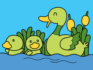 Family of duck swim in a pool