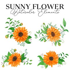 Sunny flower watercolor elements Illustration