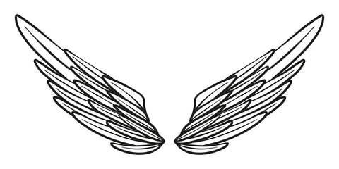 Angel or bird wings abstract sketch isolated on white. vector doodle illustration. For your design