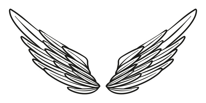 Angel or bird wings abstract sketch isolated on white. vector doodle illustration. For your design