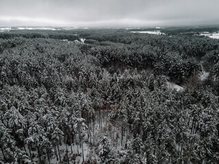 a snowy winter forest through which a small river flows, a photo from the air