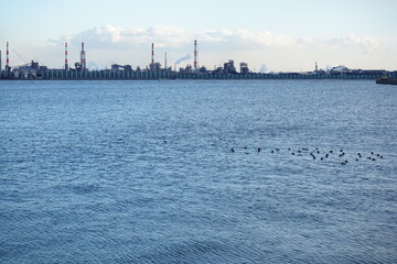 Naklejka premium 海辺の工場