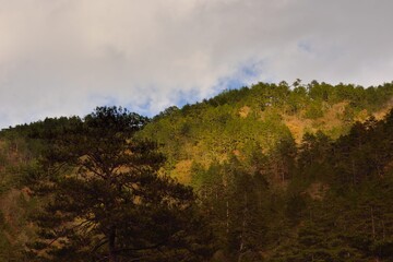 Mountain landscape-Mountain View Resort in the Taichung County,Taiwan.