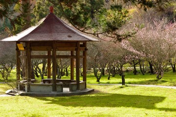 Mountain landscape-Mountain View Resort in the Taichung County,Taiwan.