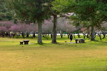 Mountain landscape-Mountain View Resort in the Taichung County,Taiwan.