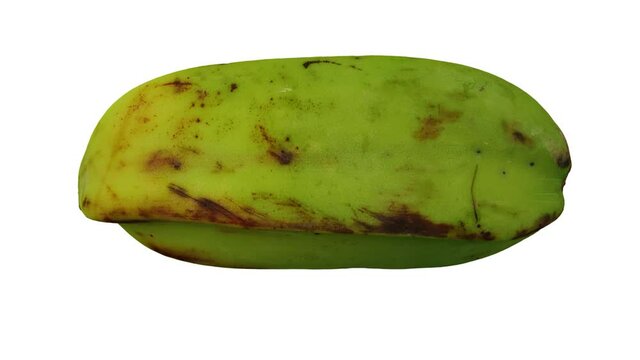 Realistic render of a rolling  Cooking Banana (Saba variety from Philippines)  on white background. The video is seamlessly looping, and the 3D object is scanned from a real banana.
