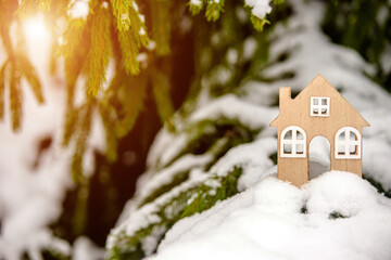 symbol of the house stands on a snow-covered fir branches
